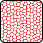 Rocoso